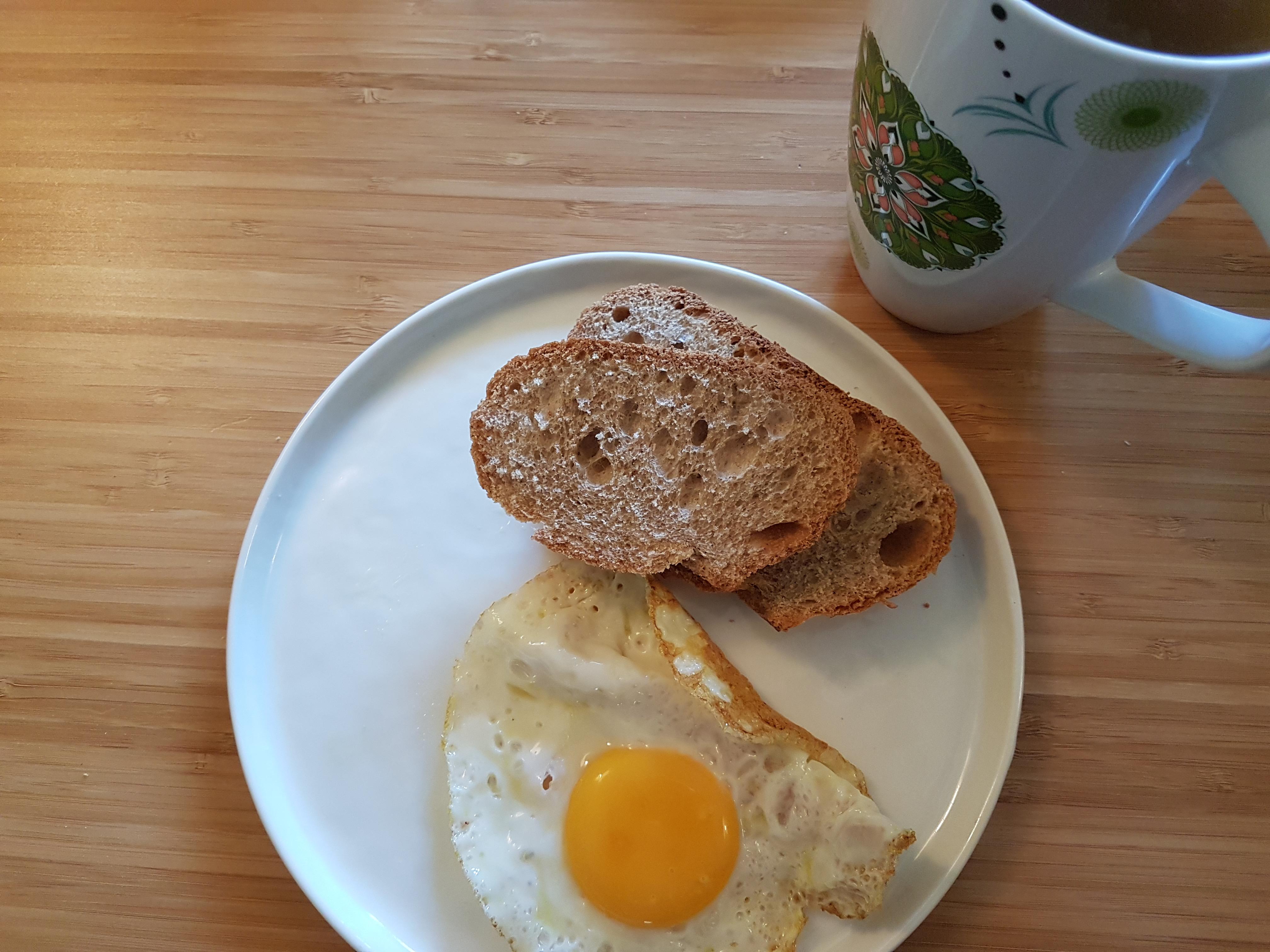 quel petit dejeuner protéiné